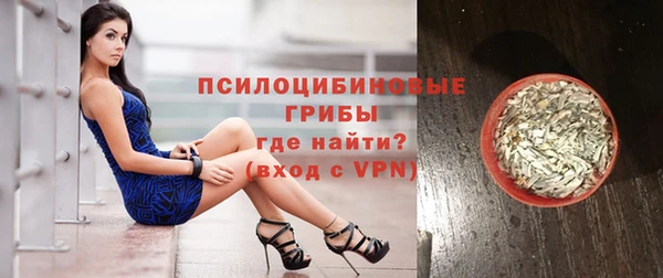 ПСИЛОЦИБИНОВЫЕ ГРИБЫ Заводоуковск