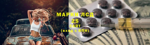 ПСИЛОЦИБИНОВЫЕ ГРИБЫ Заводоуковск