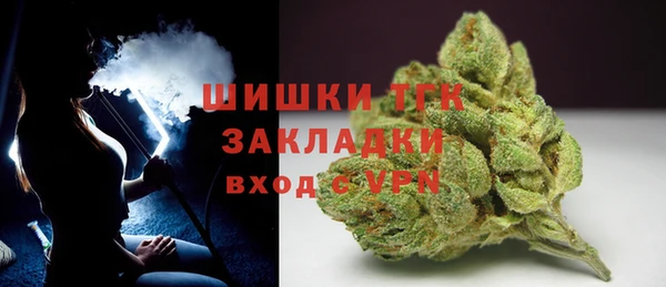ПСИЛОЦИБИНОВЫЕ ГРИБЫ Заводоуковск