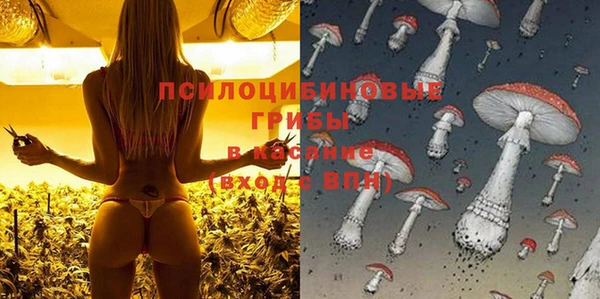 МДПВ Сосновка