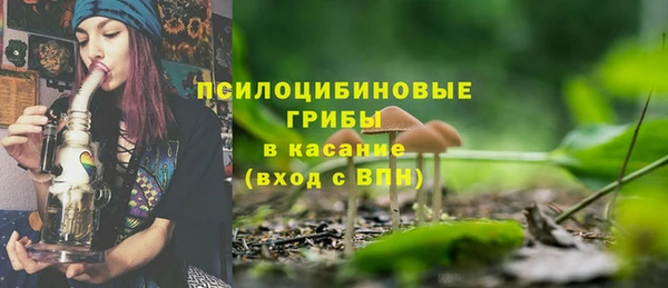 ПСИЛОЦИБИНОВЫЕ ГРИБЫ Заводоуковск